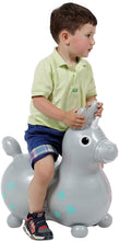 Load image into Gallery viewer, Silver Magical Unicorn Rody